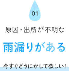 01 原因・出所が不明な雨漏りがある 今すぐどうにかして欲しい！